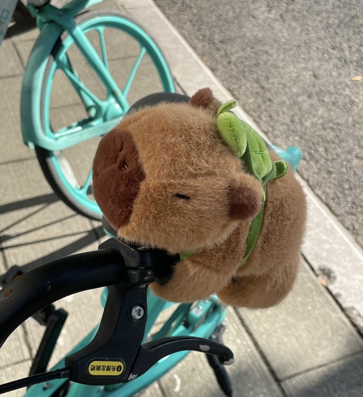 #預購 BJY STORE 卡皮巴拉 水豚君 趴趴圈趣味玩偶