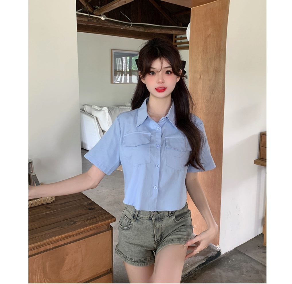 Hot selling college style polo collar short-sleeved shirt for women (blue) (size: one size fits all)