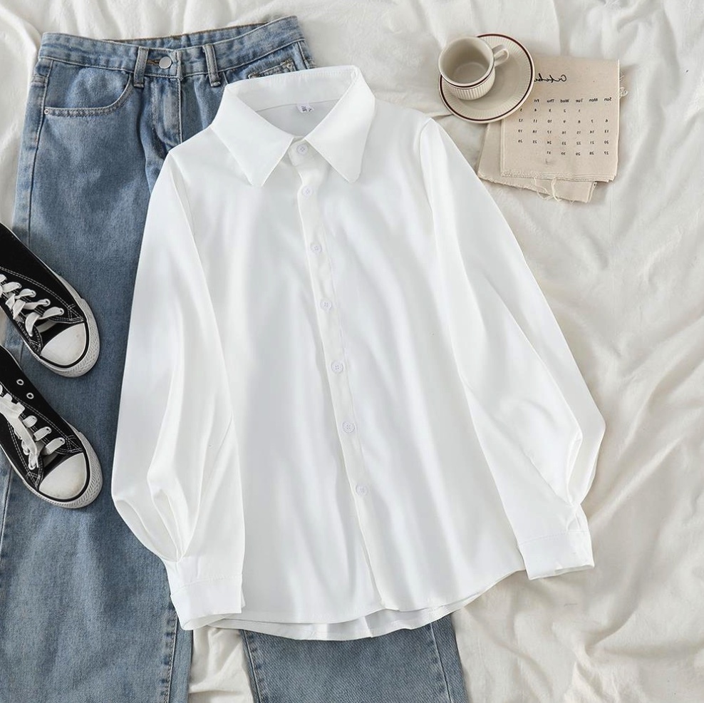 Hot Selling Lantern Sleeve Loose Casual Chic Shirt for Women (White) (Size: One Size)