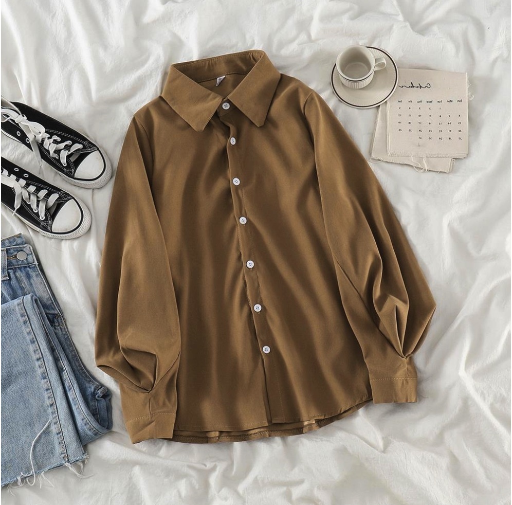 Hot Selling Lantern Sleeve Loose Casual Chic Shirt for Women (Coffee Color) (Size: One Size)