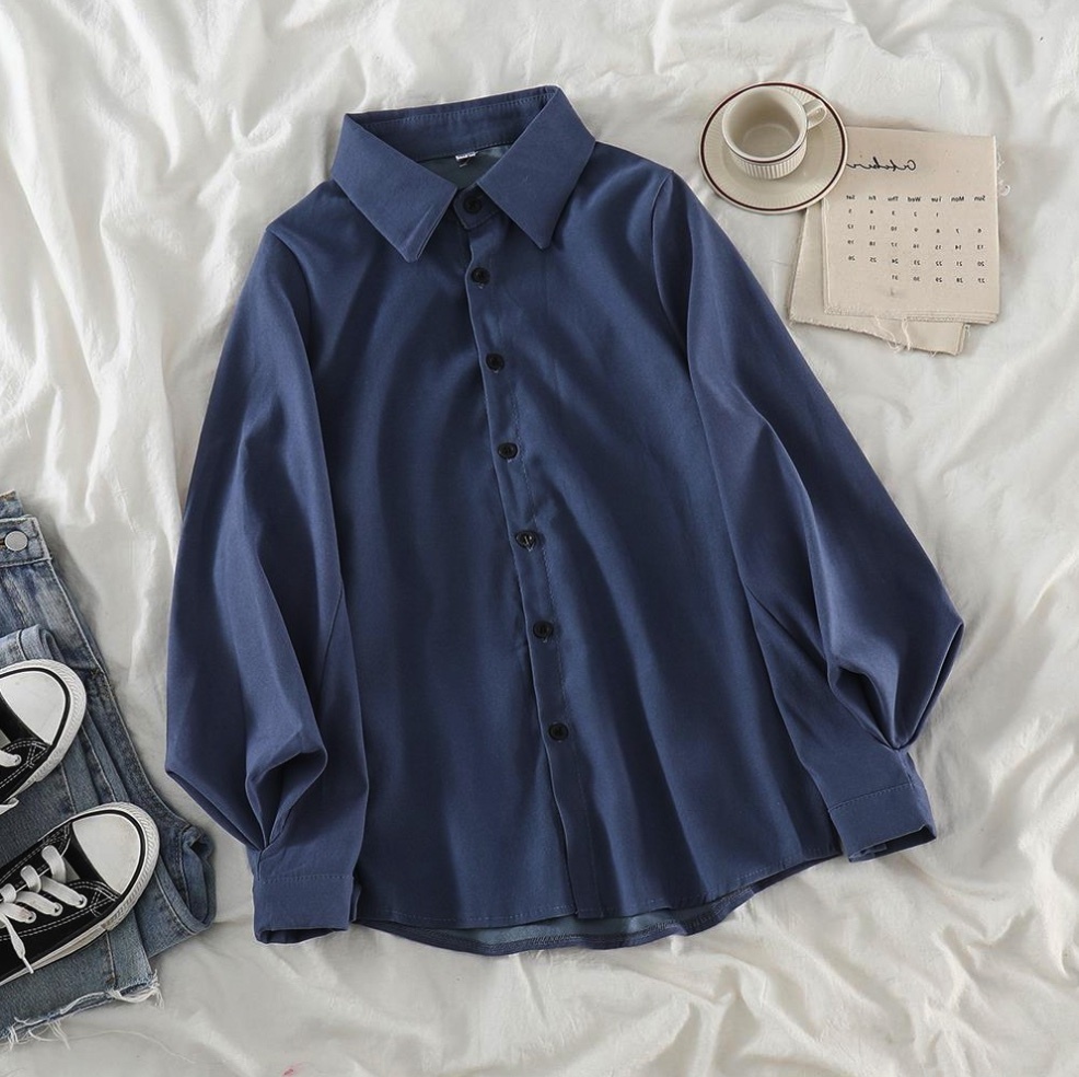 Hot Selling Lantern Sleeve Loose Casual Chic Shirt for Women (Blue) (Size: One Size)