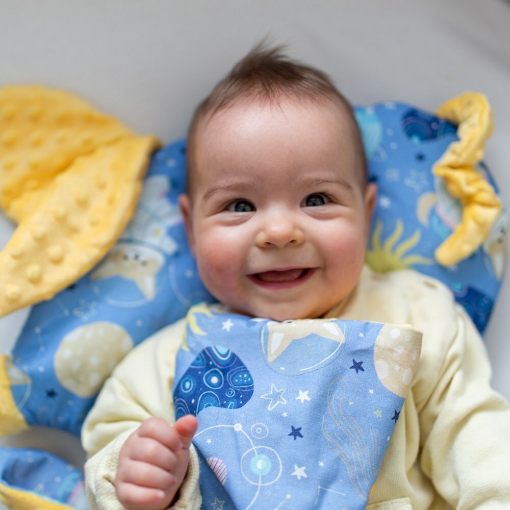 La Millou波蘭 豆豆小豬枕｜星空胖柯基(藍底)｜清恬芒果黃