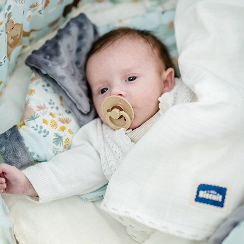 La Millou波蘭 豆豆小豬枕｜澳洲森友會(粉底)｜煙燻香草綠