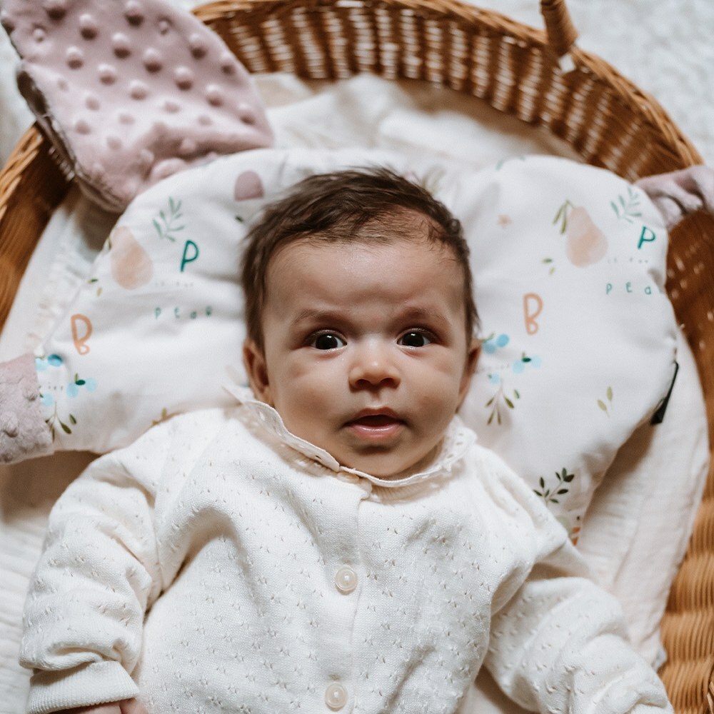 La Millou波蘭 豆豆小豬枕｜希臘紫鳶花｜蒙地卡羅藍