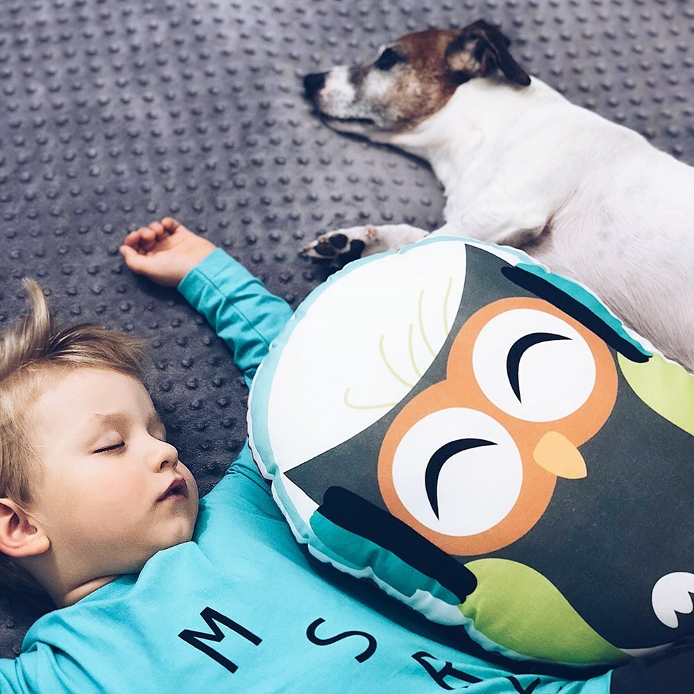 La Millou波蘭 Velvet頂級棉柔動物小抱枕｜樹屋貓頭鷹｜舒柔酒紅