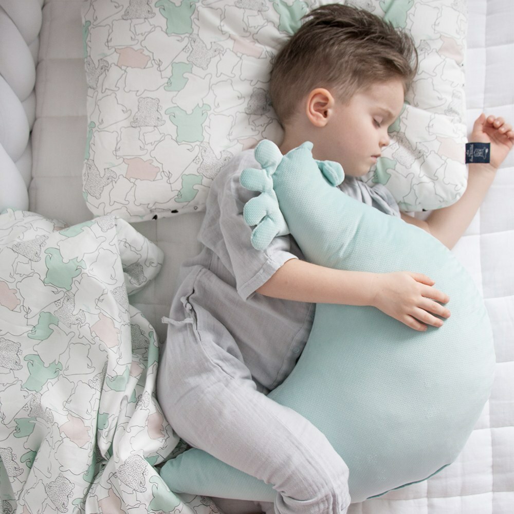 La Millou波蘭 Velvet頂級棉柔黛安奶奶的雞｜舒柔粉綠