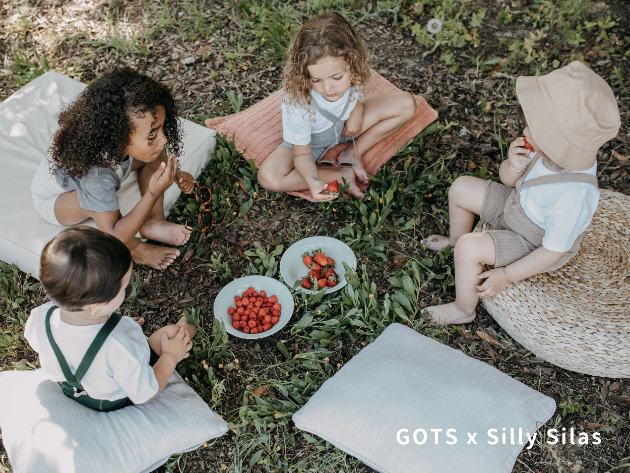 GOTS x Silly Silas