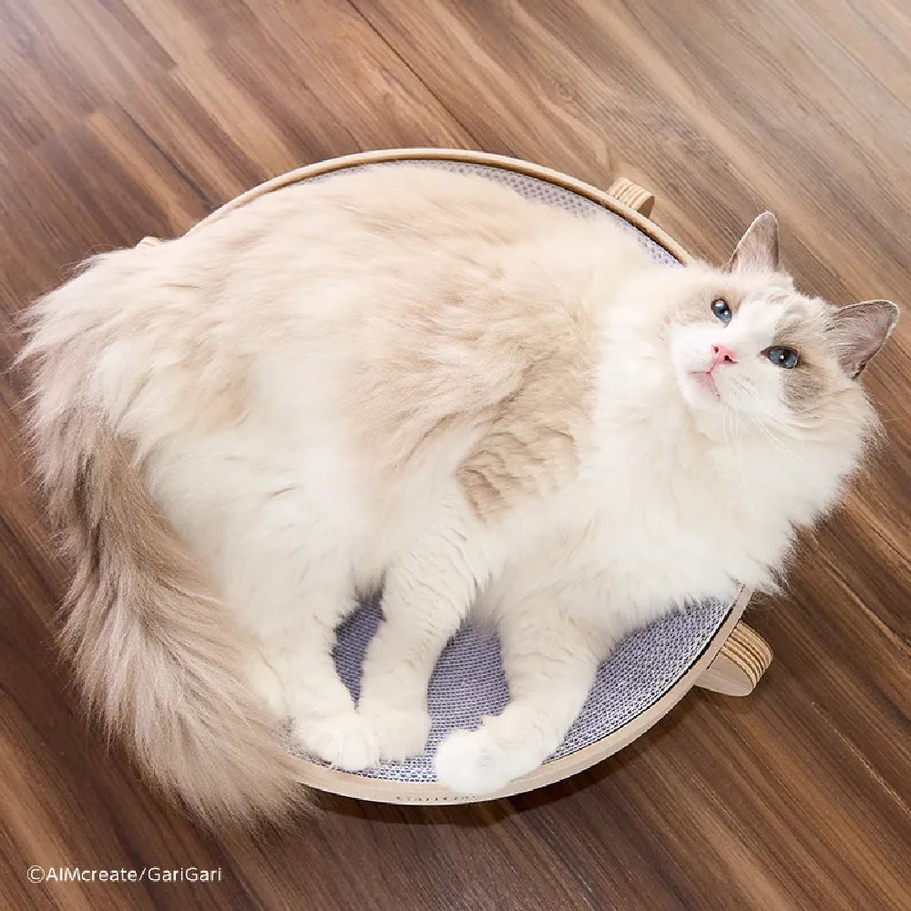 日本 Gari Gari MJU｜白瓦楞貓抓床