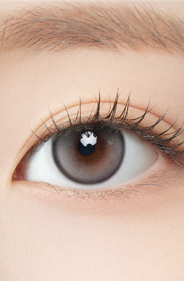 Sugar High PLUS Kristin Monthly (Gray)