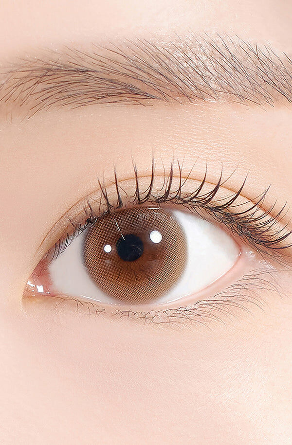 Dewy Kristin Monthly (Basic Brown)