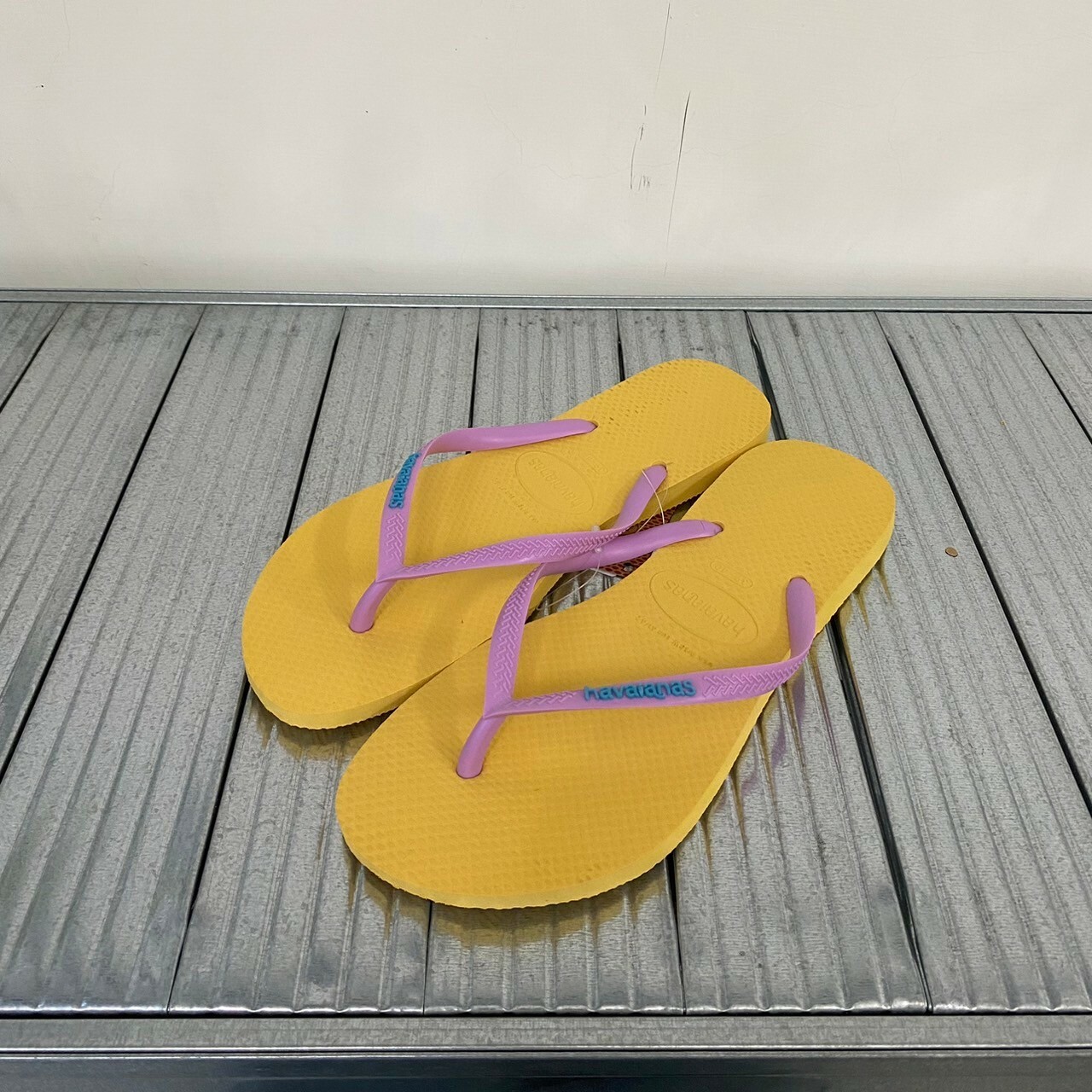 Havaianas 哈瓦仕 拖鞋 夾腳拖 撞色系列 4119787-5559W