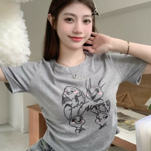 Niche Print Slim Fit T-Shirt (Grey One-size-fits-all)