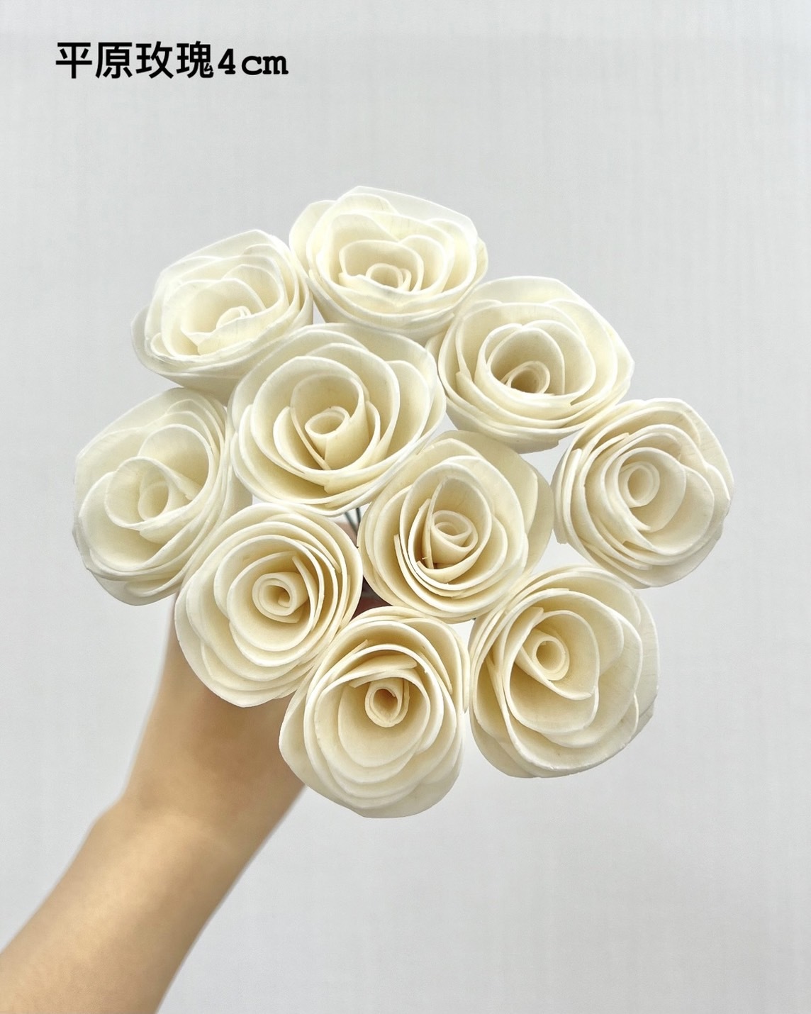 泰國索拉 平原玫瑰 4CM <十支一把> (高品質)