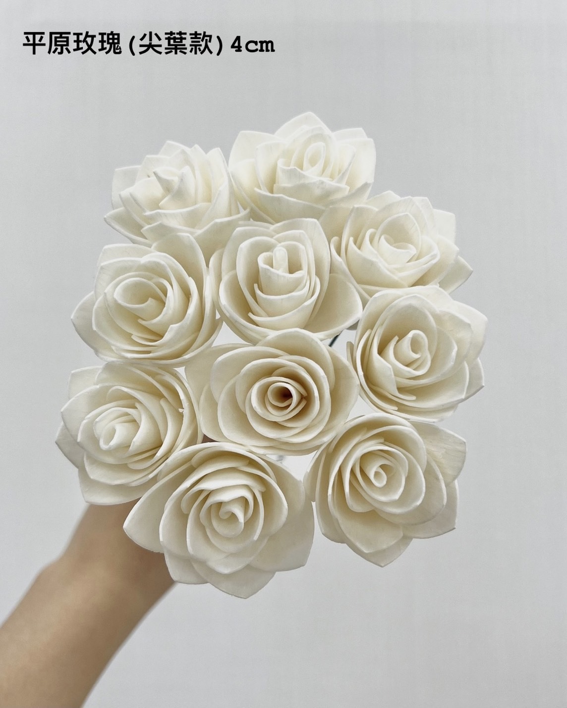 泰國索拉 平原玫瑰 (尖葉款) 4CM <十支一把> (高品質)