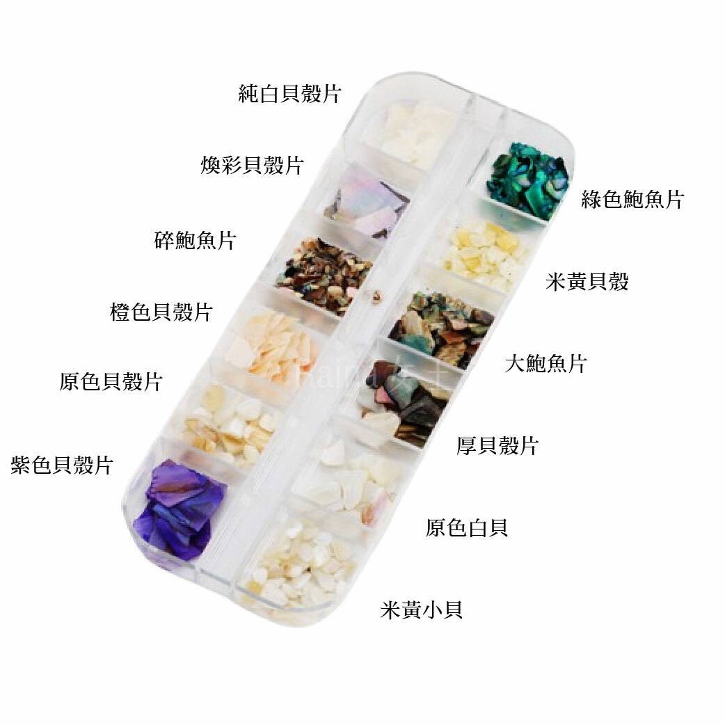 天然貝殼片-12格混裝