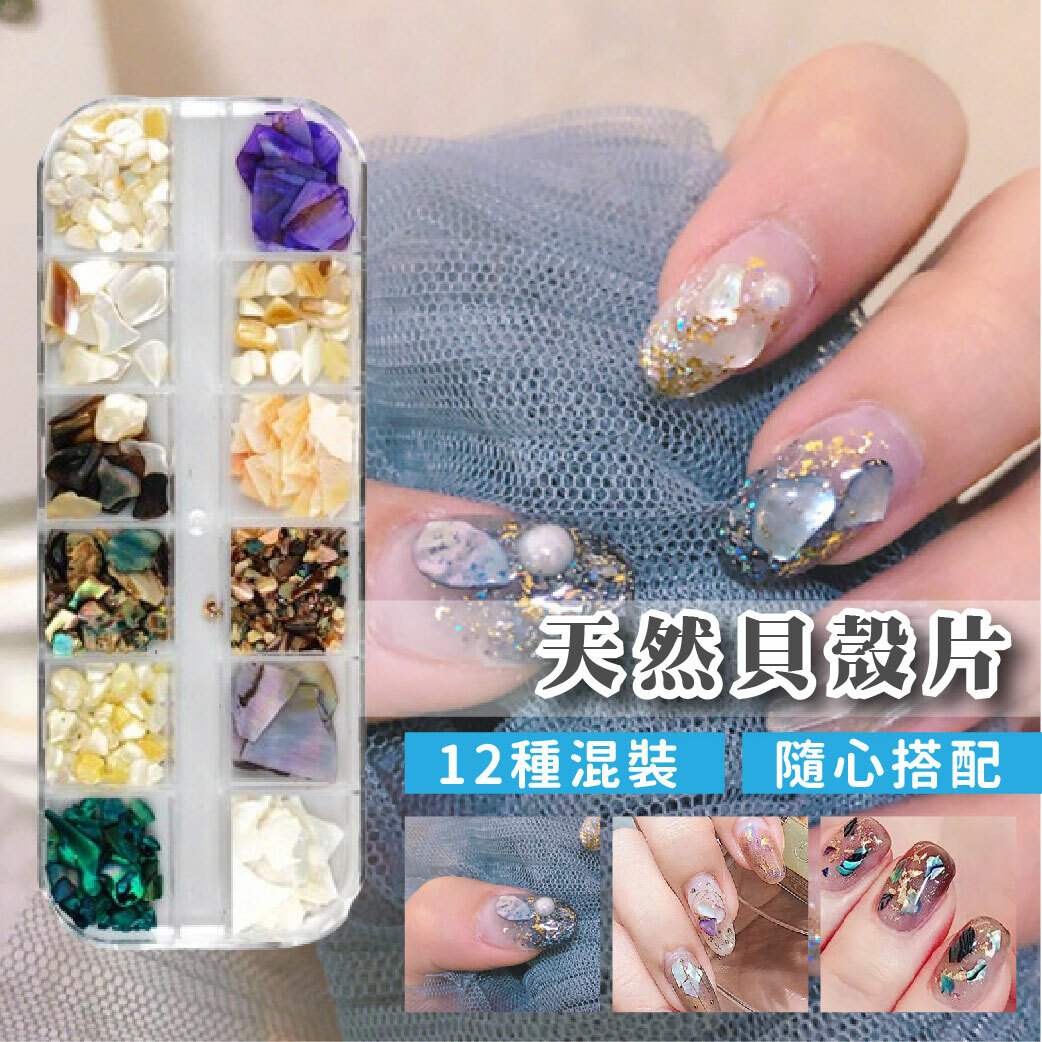 天然貝殼片-12格混裝