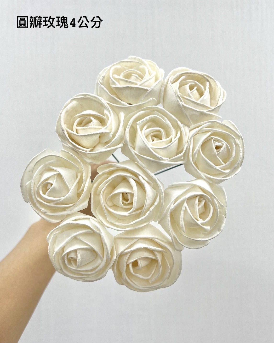 泰國索拉花 圓辦玫瑰 4CM <十支一把> (高品質)