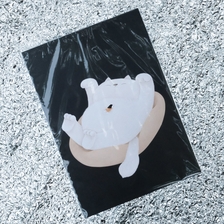 鳥控 bird cone｜A4海報｜Sleep