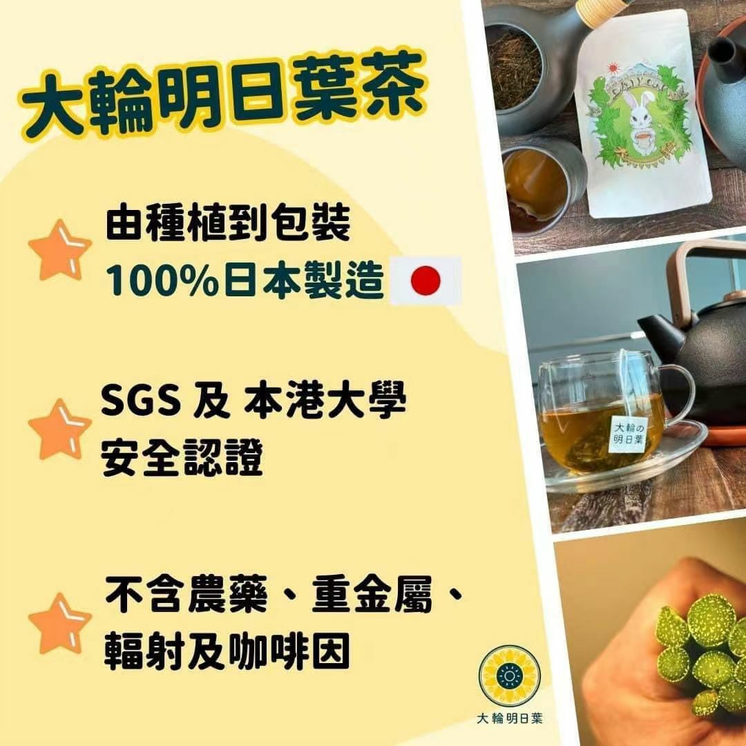 大輪明日葉烘焙草本茶(20茶包) -T