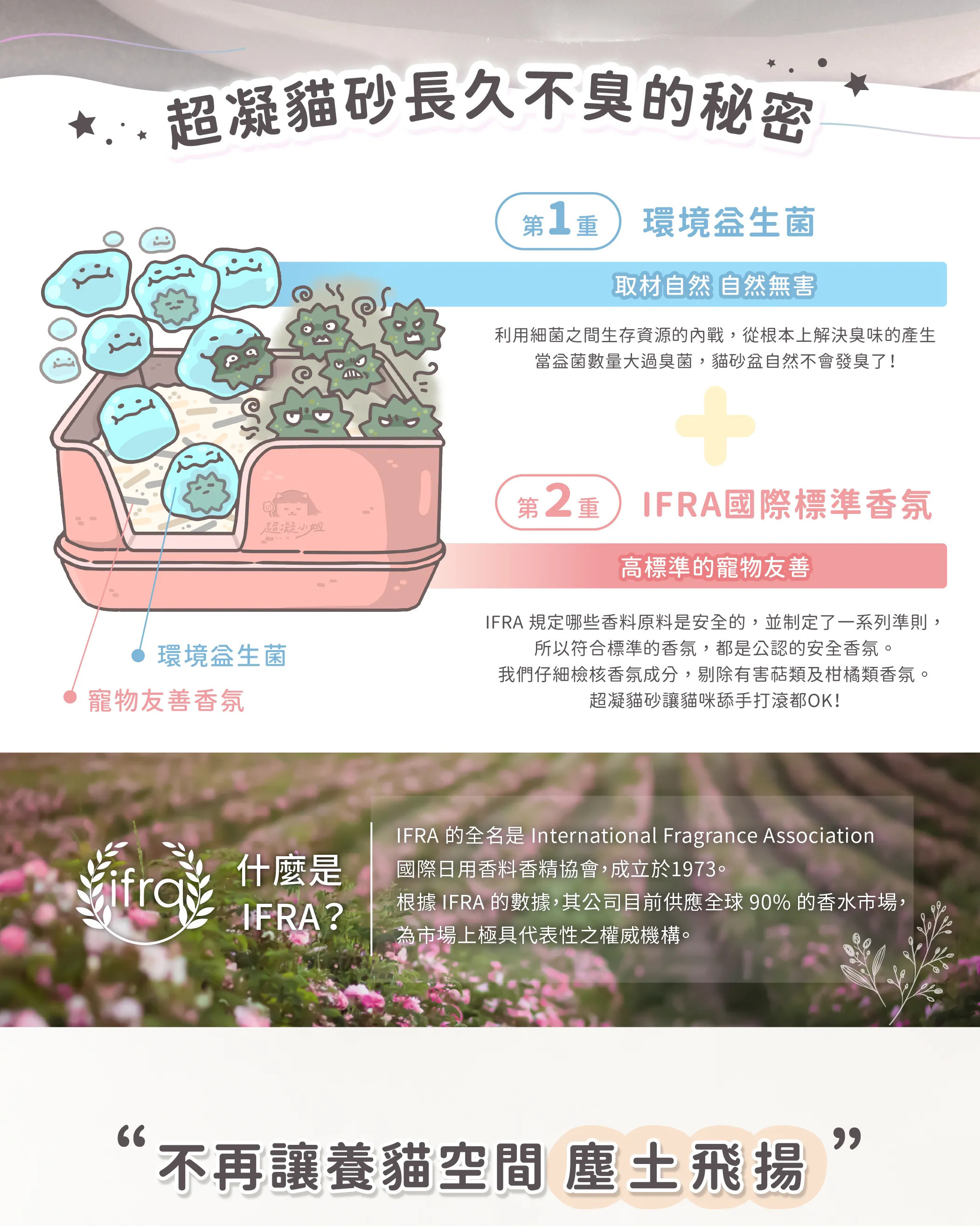 台灣超凝小姐｜益生菌除臭豆腐砂