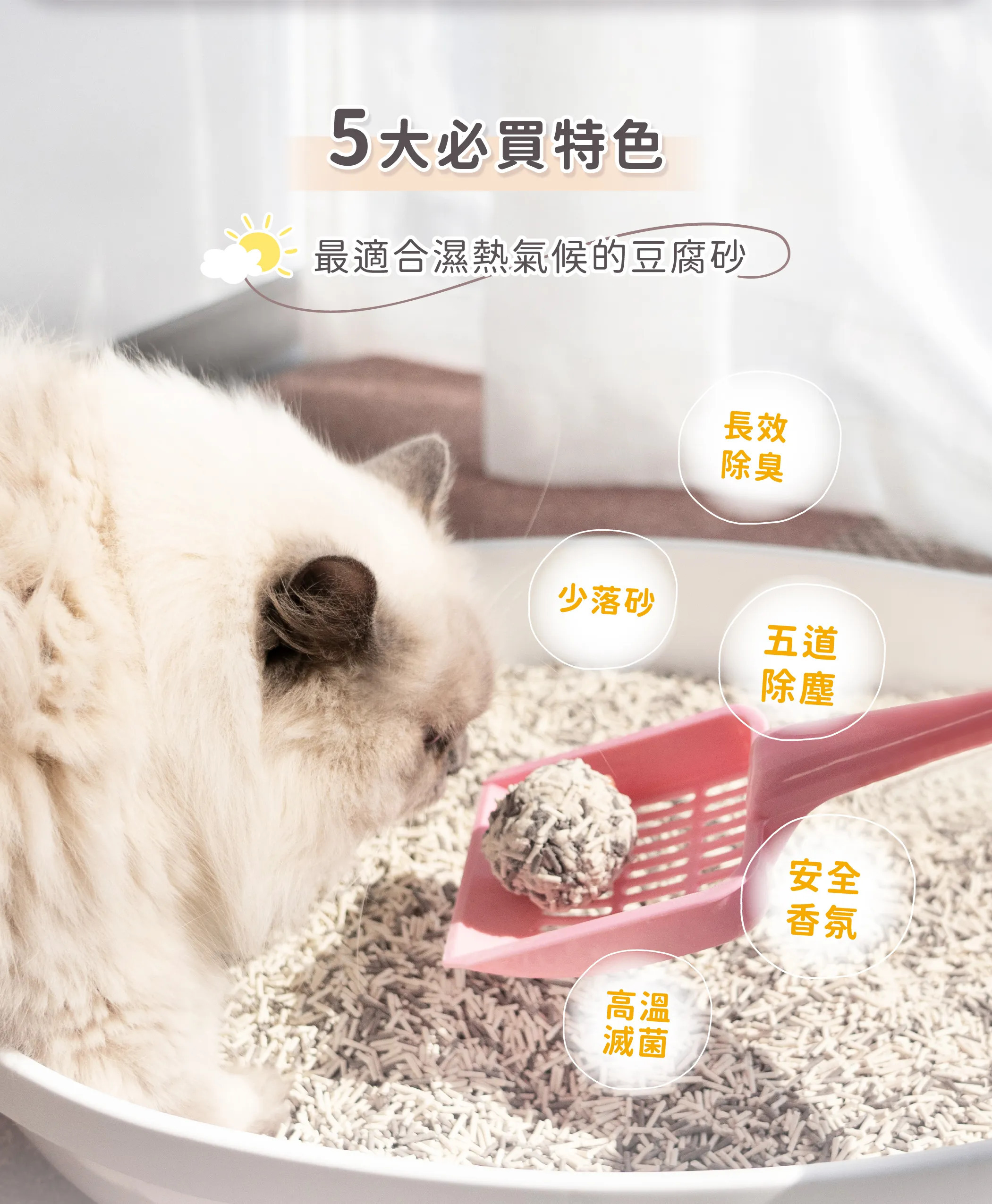 台灣超凝小姐｜益生菌除臭豆腐砂