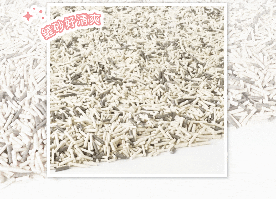 台灣超凝小姐｜益生菌除臭豆腐砂