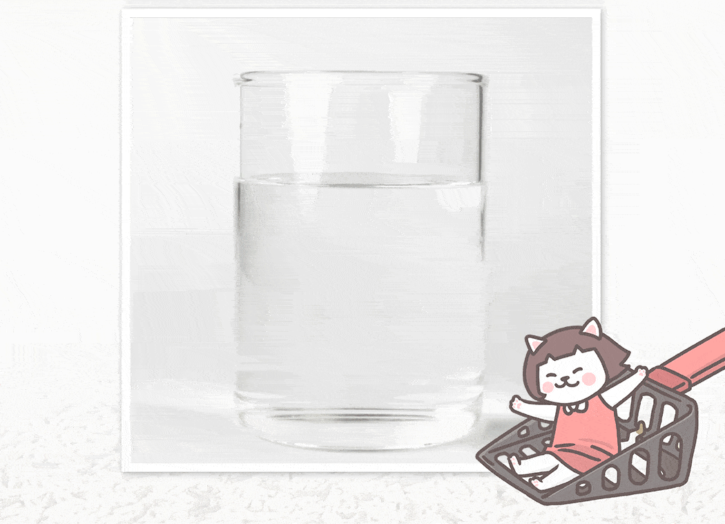 台灣超凝小姐｜益生菌除臭豆腐砂