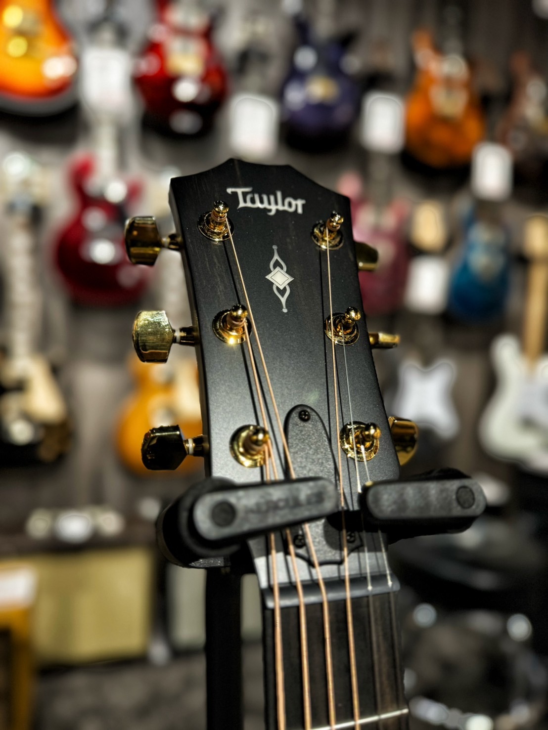 Taylor 314ce LTD 50th 木吉他 公司貨【宛伶樂器】