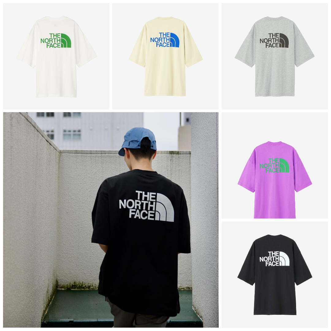 預購┃日本 男版 THE NORTH FACE S/S SIMPLE COLOR SCHEME TEE 短袖 短T