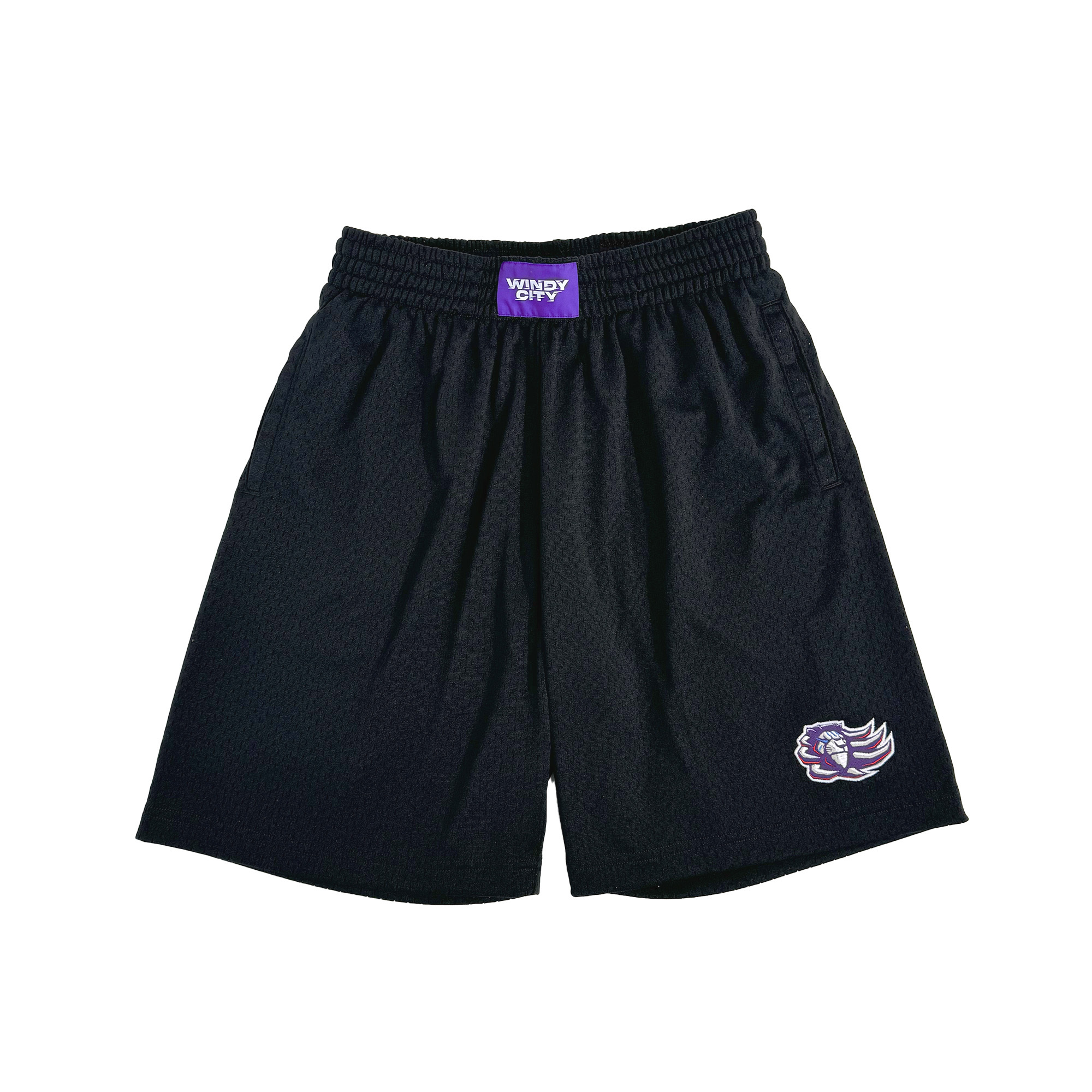 23-24 LIONEERS x Mitchell & Ness｜ Mesh Jersey 復古球褲