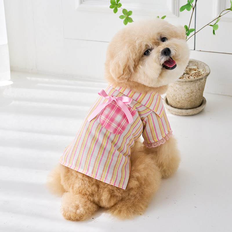 甜粉果子露襯衫 - It’s sunny outside