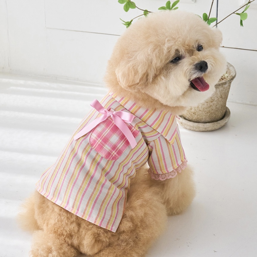 甜粉果子露襯衫 - It’s sunny outside