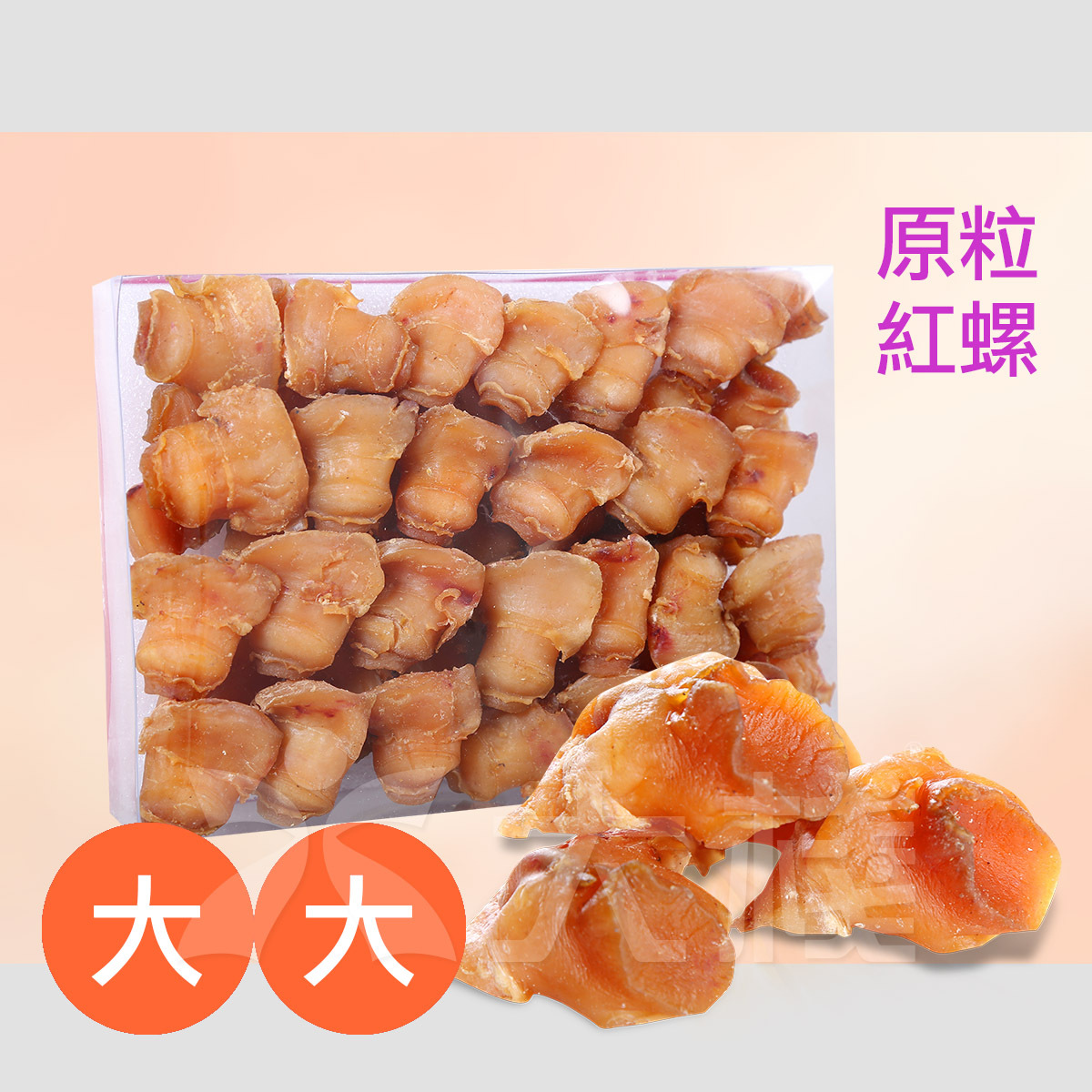 精品 西非紅螺頭  大大 原粒 (LL) 1斤裝