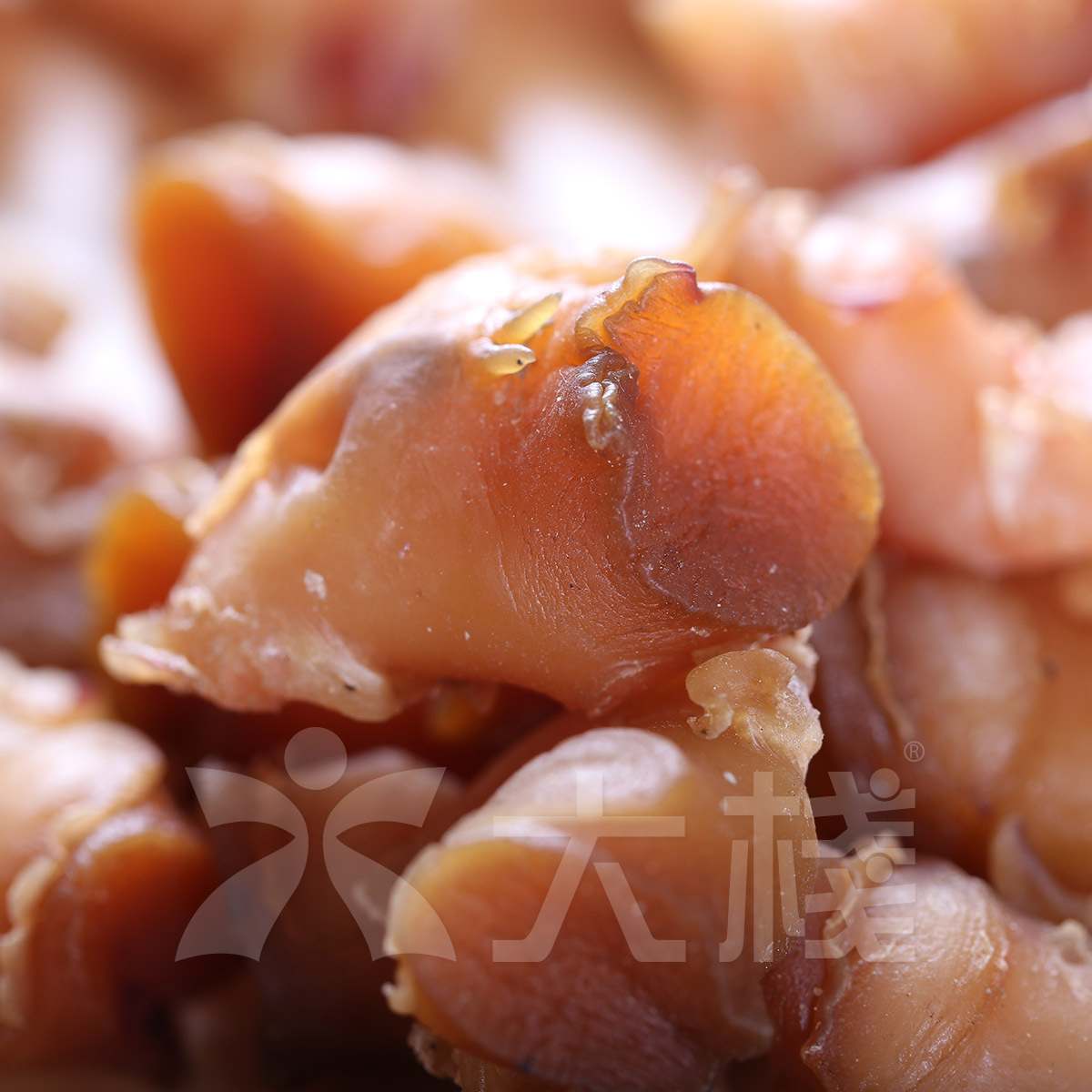 精品 西非紅螺頭  大大 原粒 (LL) 1斤裝