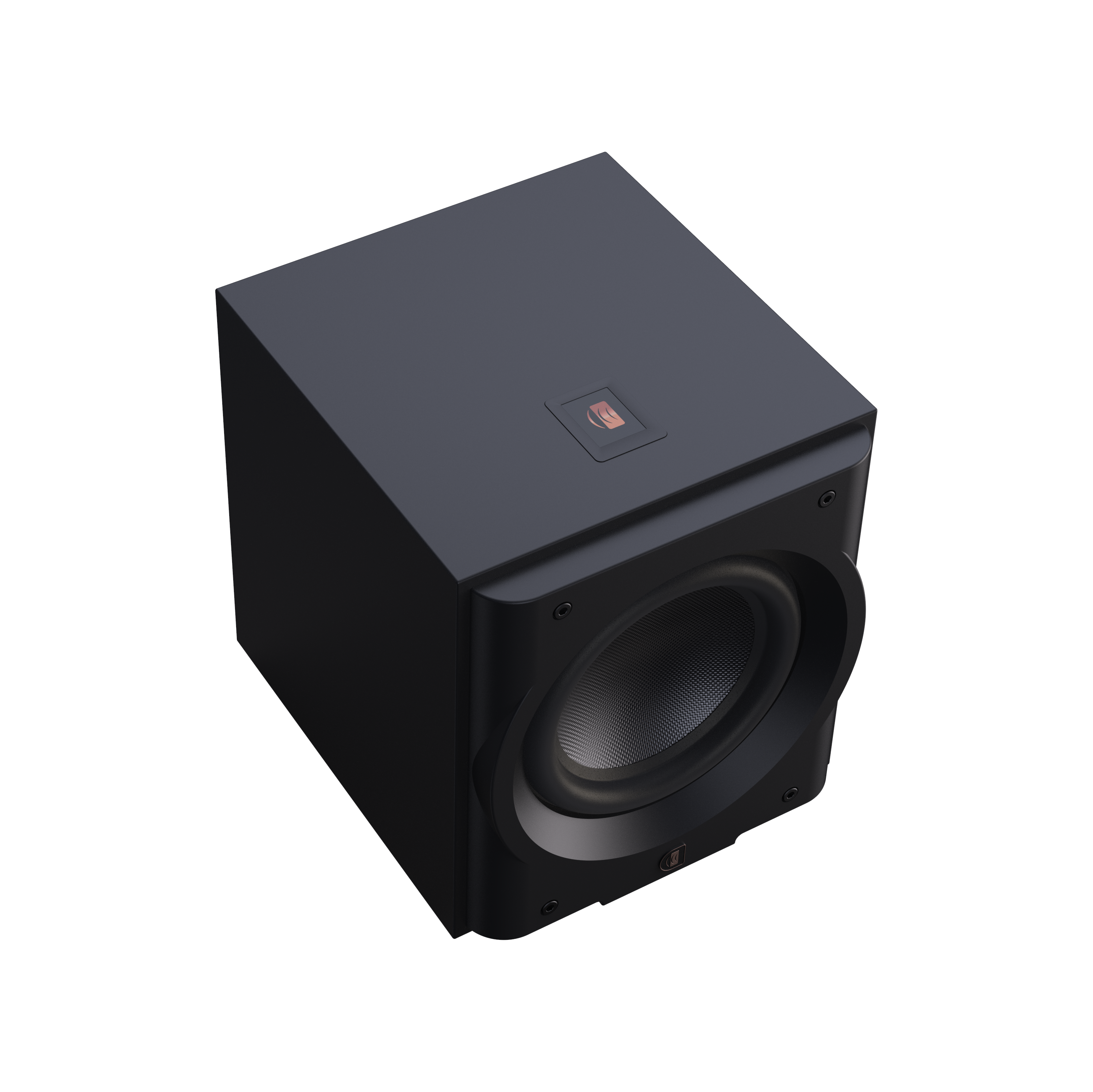 PERLISTEN R10s 10 吋超低音喇叭