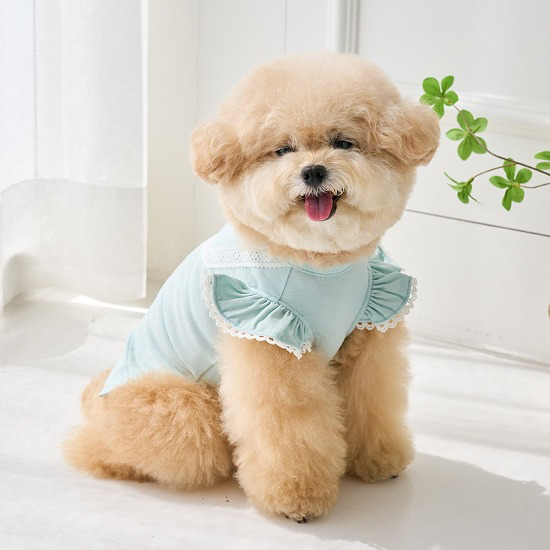 Summer夏季薄棉T-薄荷 - It’s sunny outside