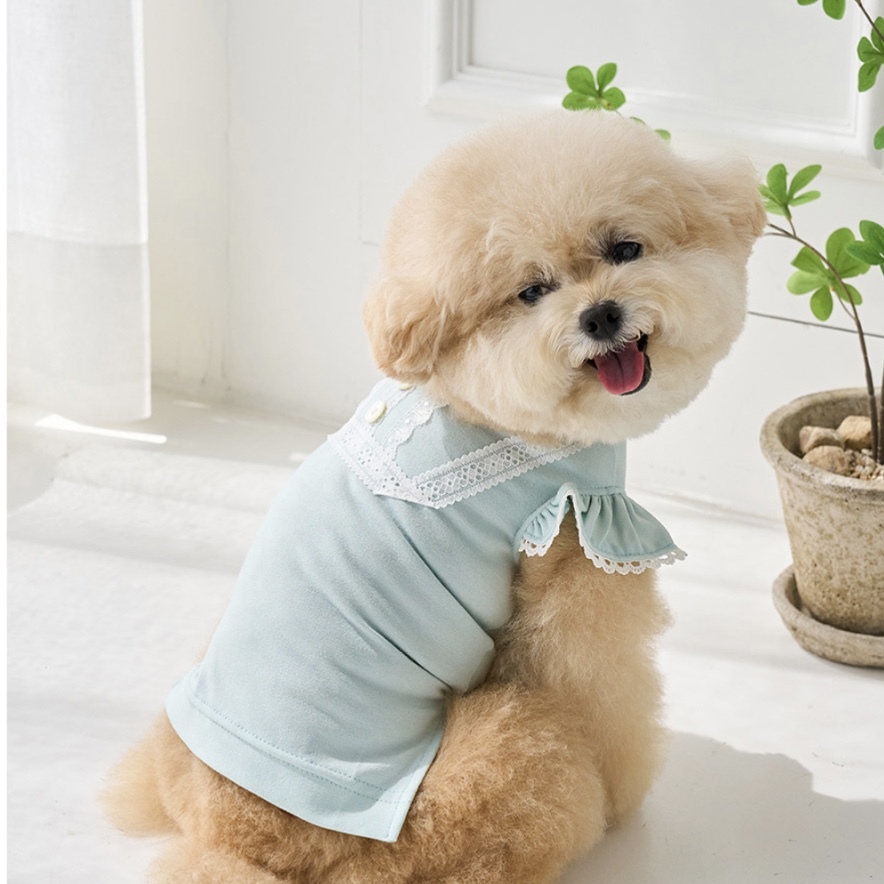 Summer夏季薄棉T-薄荷 - It’s sunny outside