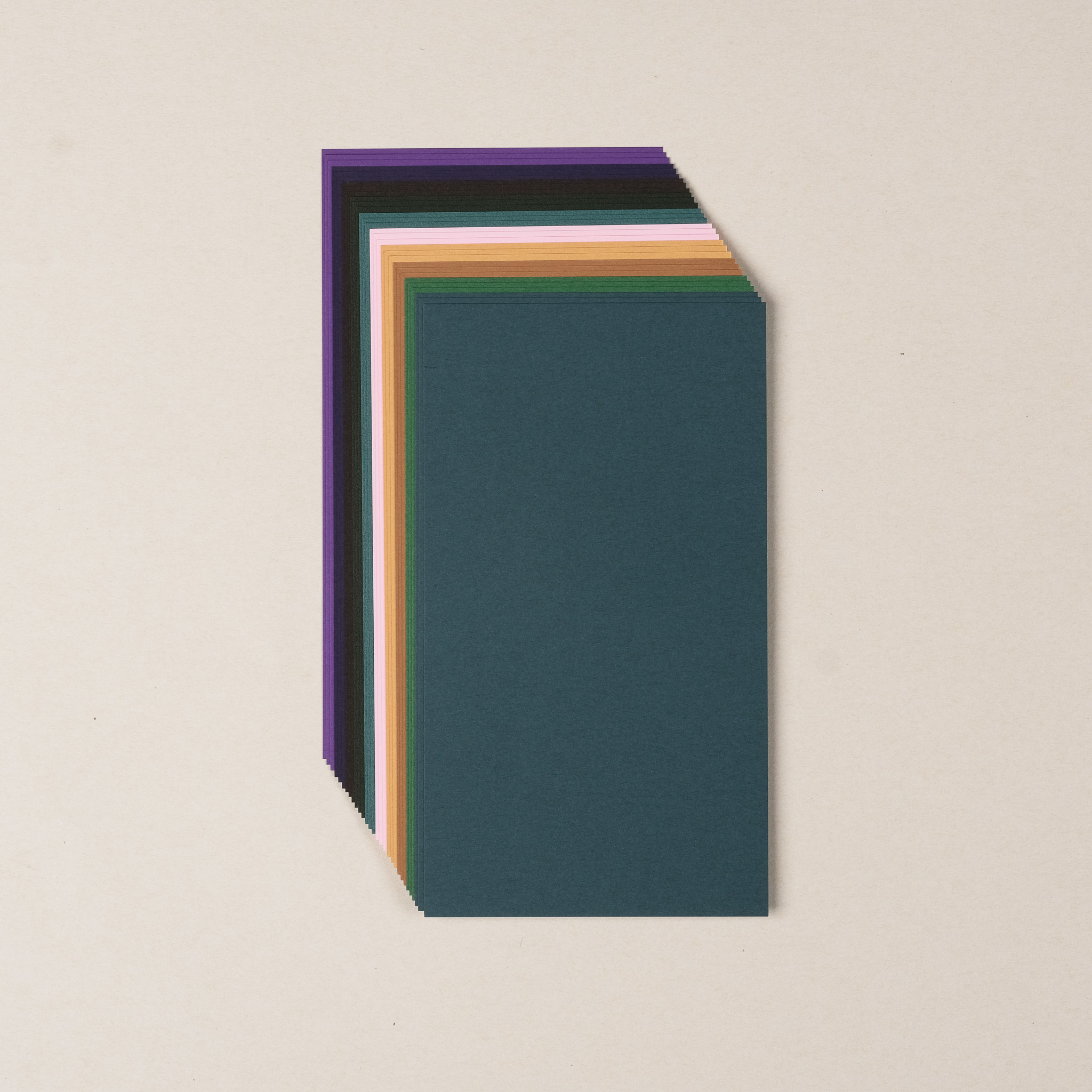 無孔 BIBLE 森林色素材包 ｜一分之一工作室 臺灣