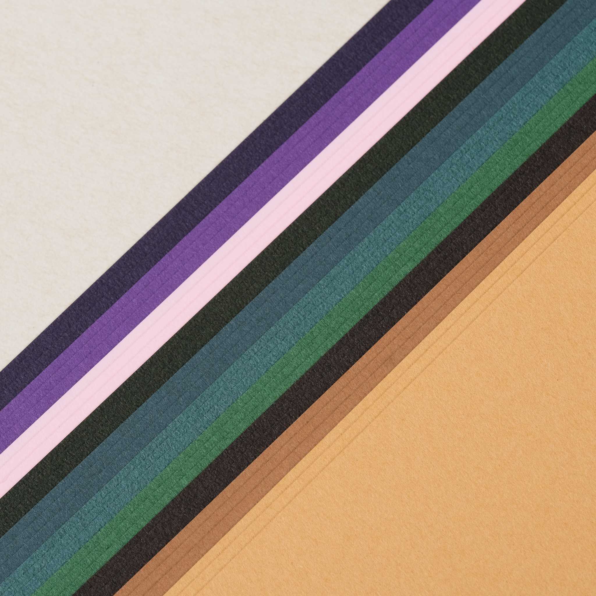 無孔 BIBLE 森林色素材包 ｜一分之一工作室 臺灣