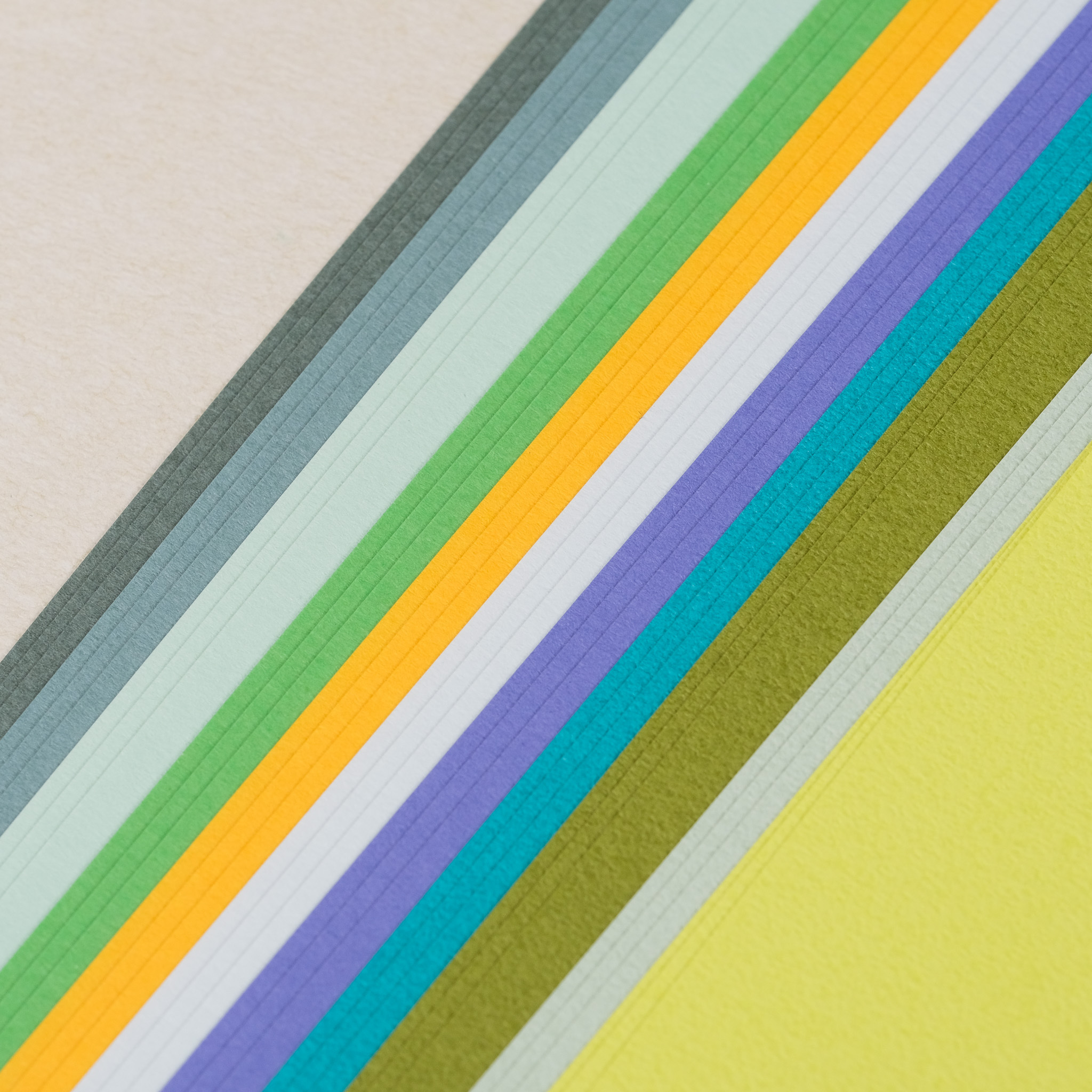 無孔 BIBLE 草原色素材包 ｜一分之一工作室 臺灣