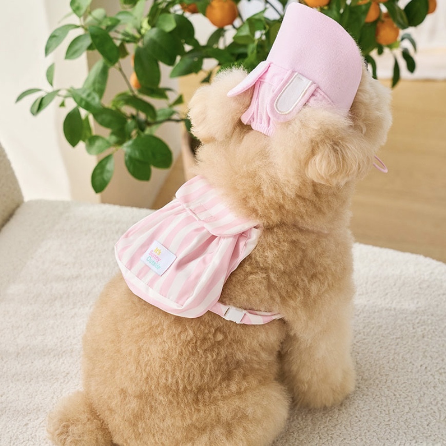 Windbreaker夏季配件-外出小背包-粉紅條紋-It’s sunny outside