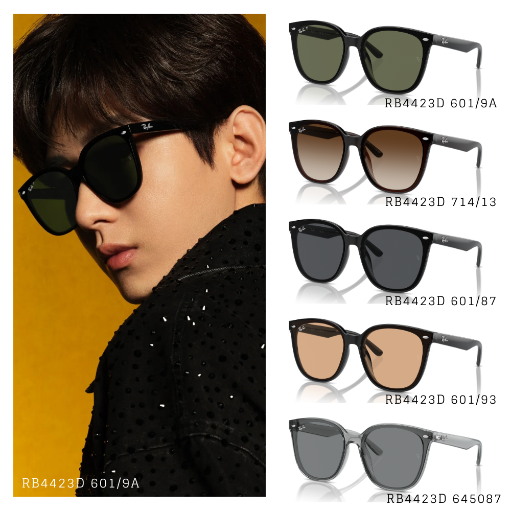 RayBan】RB4423D 714/13-66mm 大方框太陽眼鏡