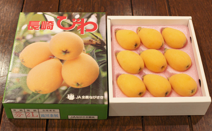 日本JA全農 長崎琵琶禮盒 (16入) M 秀