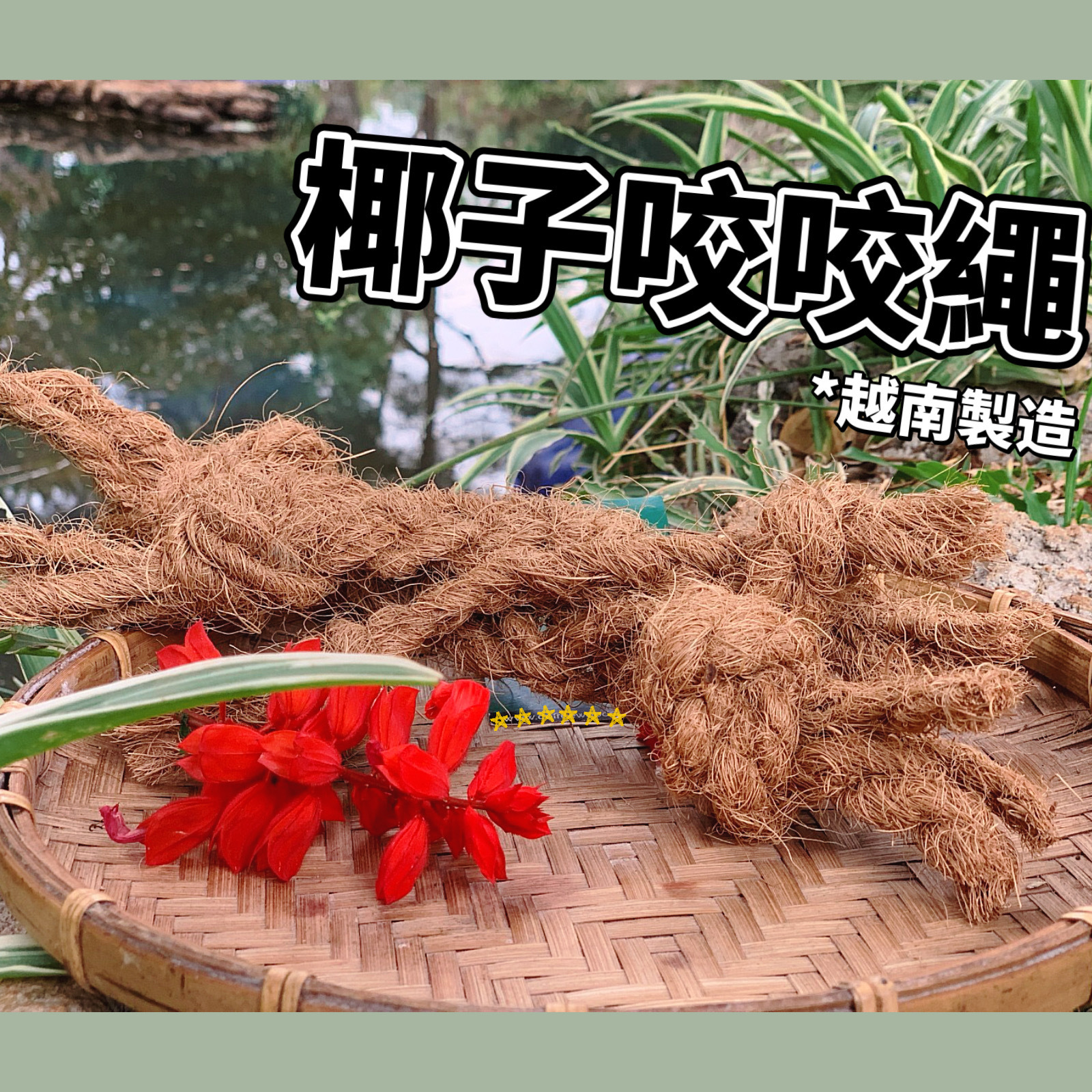 天然椰子纖維咬咬繩