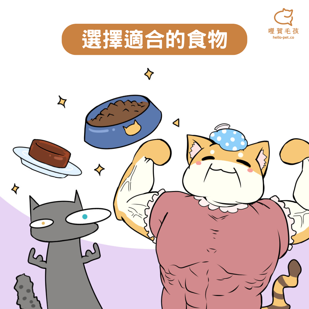 選擇適合的食物