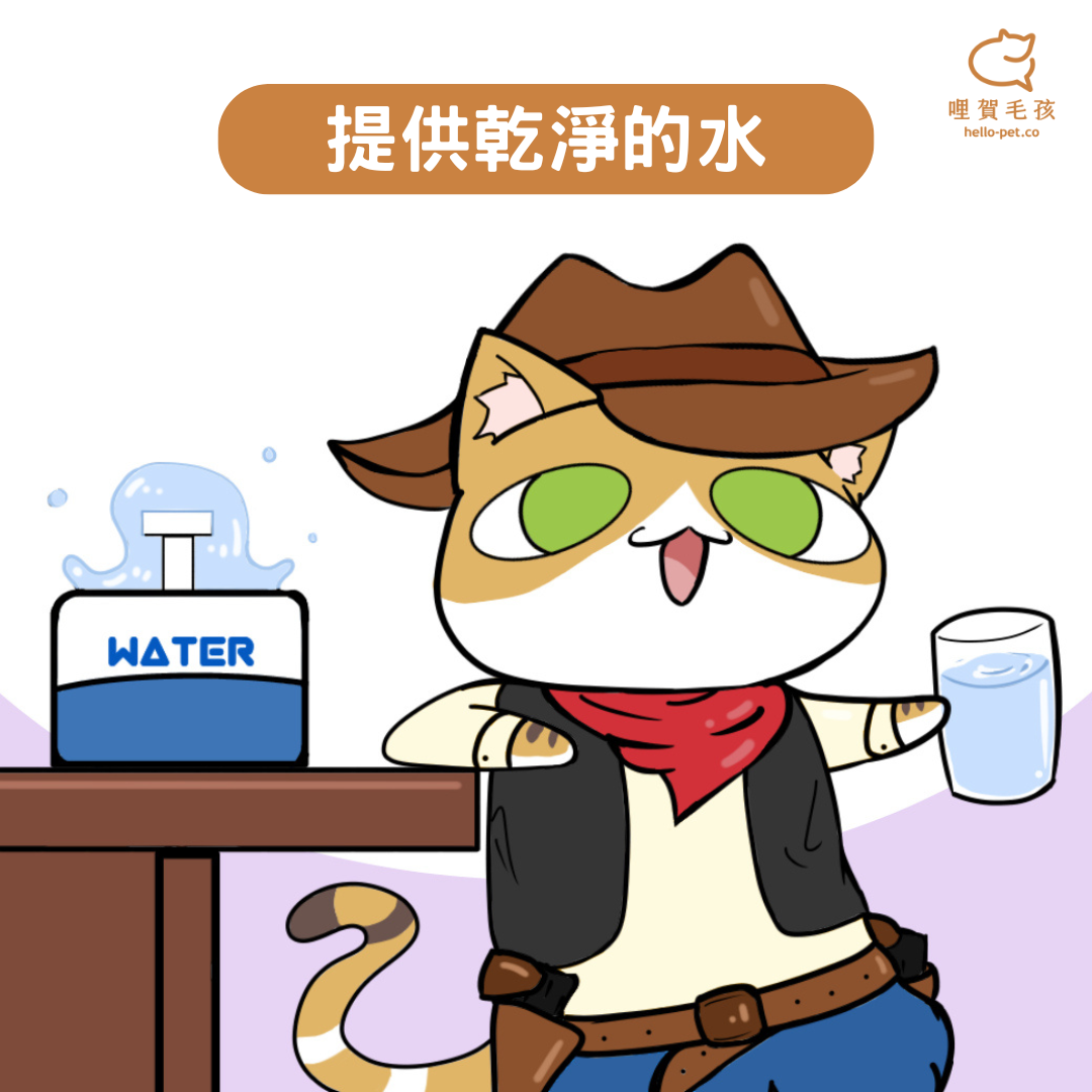 選擇乾淨的水