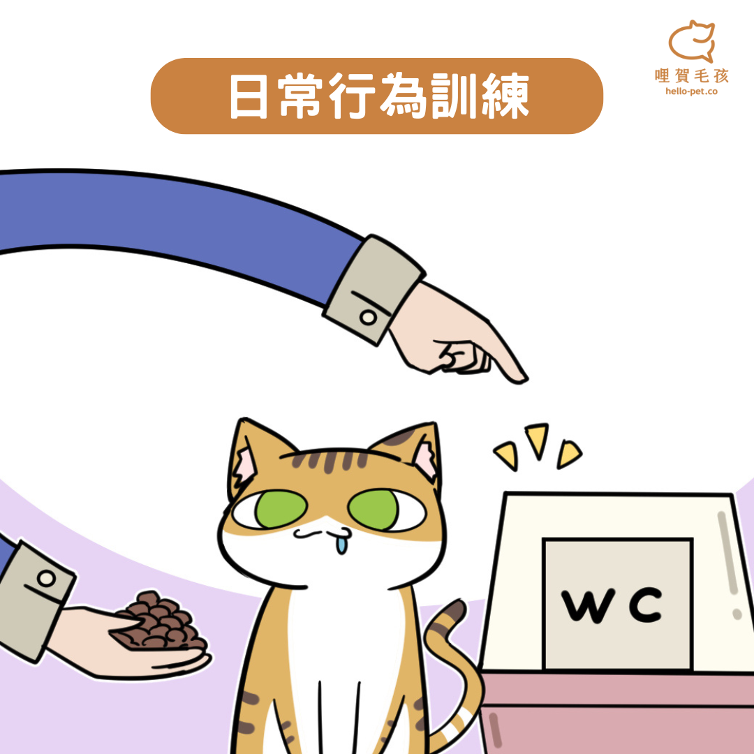 獎勵零食日常行為訓練