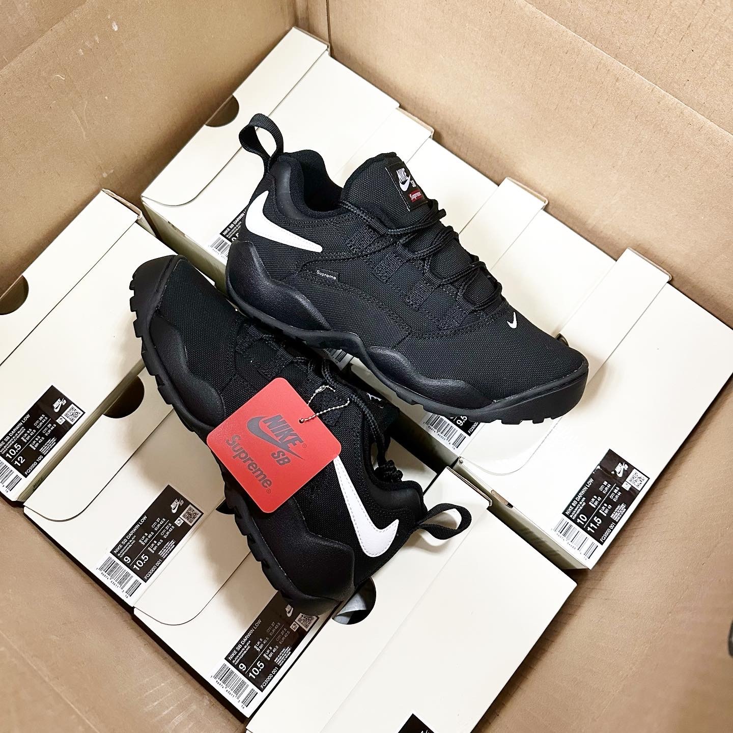 Nike SB Darwin Low Supreme Black  FQ3000-001