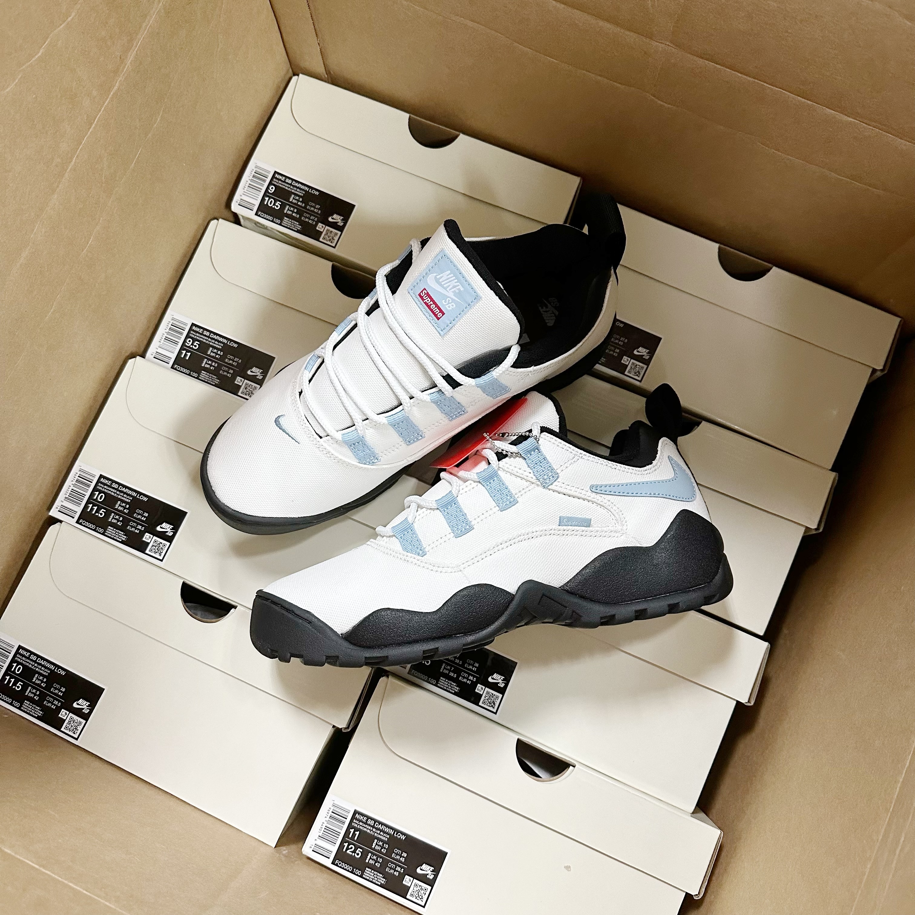 Nike SB Darwin Low Supreme Sail White Blue  FQ3000-100