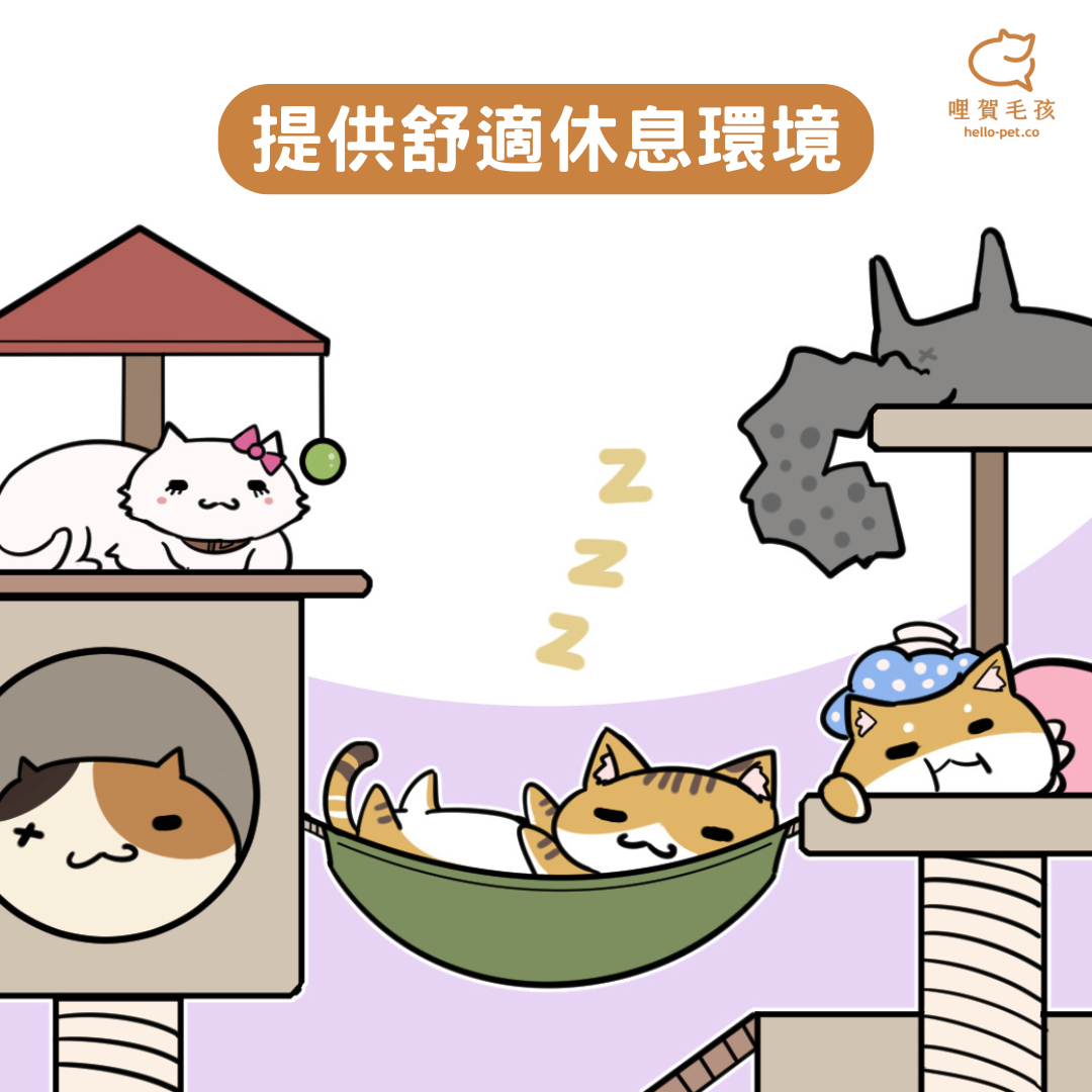 提供舒適休息環境